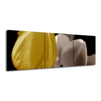 Glas schilderij Tulp | Geel, Grijs, Wit | 120x40cm 3Luik