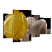 Glas schilderij Tulp | Geel, Grijs, Wit | 120x75cm 4Luik