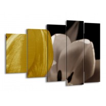 Glas schilderij Tulp | Geel, Grijs, Wit | 150x100cm 5Luik