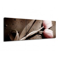 Glas schilderij Tulp | Bruin, Grijs, Wit | 120x40cm 3Luik