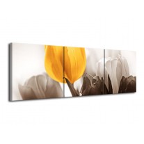 Glas schilderij Tulpen | Geel, Wit, Grijs | 120x40cm 3Luik