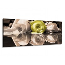 Glas schilderij Roos | Groen, Grijs, Wit | 145x58cm 1Luik