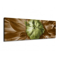 Glas schilderij Bloem | Groen, Bruin, Wit | 120x40cm 3Luik