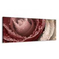 Glas schilderij Roos | Bruin, | 145x58cm 1Luik