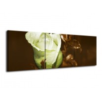 Glas schilderij Bloem | Wit, Bruin, Groen | 120x40cm 3Luik