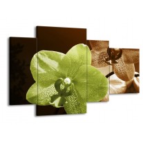 Glas schilderij Orchidee | Groen, Bruin, Wit | 120x75cm 4Luik