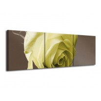 Glas schilderij Roos | Groen, Wit, Grijs | 120x40cm 3Luik