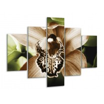 Glas schilderij Iris | Groen, Bruin, Wit | 100x70cm 5Luik