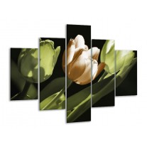 Glas schilderij Tulp | Bruin, Groen, Zwart | 100x70cm 5Luik
