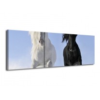 Canvas schilderij Paarden | Wit, Zwart, Blauw | 120x40cm 3Luik