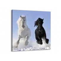 Canvas schilderij Paarden | Wit, Zwart, Blauw | 50x50cm 1Luik