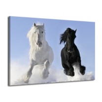 Glas schilderij Paarden | Wit, Zwart, Blauw | 70x50cm 1Luik