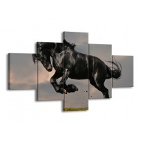 Canvas schilderij Paarden | Zwart, Wit, Grijs | 125x70cm 5Luik