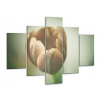 Glas schilderij Tulp | Grijs, Groen, Wit | 100x70cm 5Luik