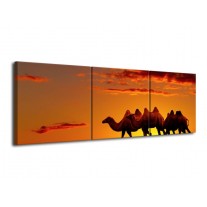 Canvas schilderij Kameel | Oranje, Bruin, Geel | 120x40cm 3Luik