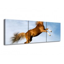 Canvas schilderij Paard | Bruin, Blauw, Wit | 120x40cm 3Luik
