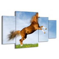 Canvas schilderij Paard | Bruin, Blauw, Wit | 160x90cm 4Luik