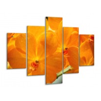 Glas schilderij Orchidee | Oranje, Geel | 100x70cm 5Luik