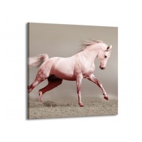 Glas schilderij Paard | Roze, Bruin, Grijs | 70x70cm 1Luik