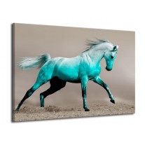 Glas schilderij Paard | Groen, Grijs | 70x50cm 1Luik