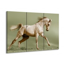 Glas schilderij Paard | Groen, Bruin | 90x60cm 3Luik