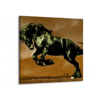 Canvas schilderij Paard | Bruin, Groen, Zwart | 50x50cm 1Luik