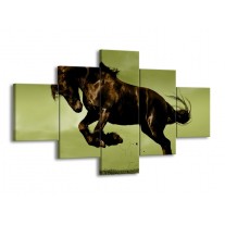 Glas schilderij Paard | Bruin, Groen, Zwart | 125x70cm 5Luik