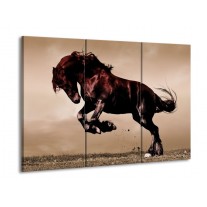 Canvas schilderij Paard | Bruin, Grijs, Zwart | 90x60cm 3Luik