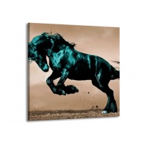 Glas schilderij Paard | Bruin, Blauw, Zwart | 50x50cm 1Luik