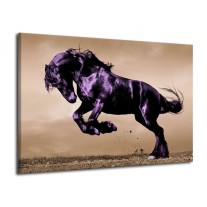 Glas schilderij Paard | Paars, Grijs, Zwart | 70x50cm 1Luik