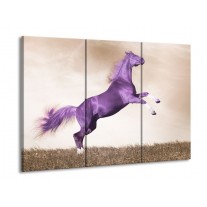 Glas schilderij Paard | Paars, Sepia | 90x60cm 3Luik
