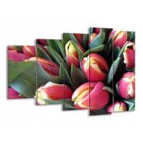 Glas schilderij Tulp | Roze, Groen, Geel | 150x100cm 5Luik