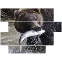 Canvas schilderij Beer | Bruin, Zwart, Grijs | 115x85cm 4Luik