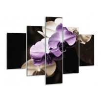 Glas schilderij Orchidee | Paars, Zwart, Grijs | 100x70cm 5Luik