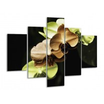 Glas schilderij Orchidee | Groen, Bruin, Zwart | 100x70cm 5Luik