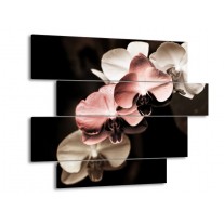 Glas schilderij Orchidee | Bruin, Zwart, Grijs | 115x85cm 4Luik