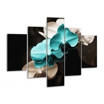 Glas schilderij Orchidee | Blauw, Zwart, Grijs | 100x70cm 5Luik