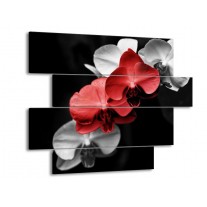 Glas schilderij Orchidee | Rood, Zwart, Grijs | 115x85cm 4Luik