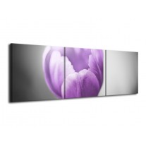 Glas schilderij Tulp | Paars, Grijs, Wit | 120x40cm 3Luik