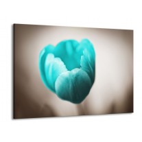 Glas schilderij Tulp | Blauw, Wit, Grijs | 100x70cm 1Luik