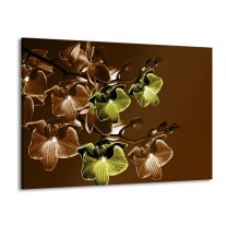 Glas schilderij Orchidee | Groen, Bruin | 100x70cm 1Luik
