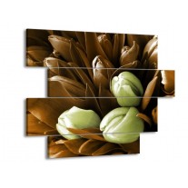 Glas schilderij Orchidee | Bruin, Groen, Zwart | 115x85cm 4Luik