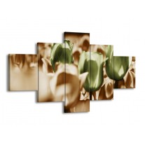 Glas schilderij Tulpen | Bruin, Groen, Wit | 125x70cm 5Luik