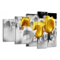 Glas schilderij Tulpen | Geel, Grijs, Wit | 150x100cm 5Luik