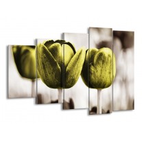 Glas schilderij Tulpen | Bruin, Groen | 150x100cm 5Luik
