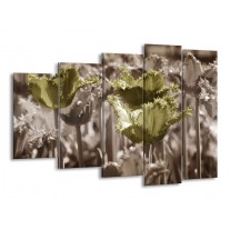 Glas schilderij Tulpen | Groen, Bruin | 150x100cm 5Luik