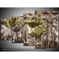 Klok schilderij Tulpen | Groen, Bruin | 150x100cm 5Luik