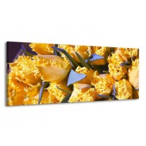 Glas schilderij Tulpen | Geel, Groen | 145x58cm 1Luik