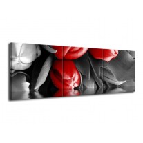 Glas schilderij Tulpen | Rood, Grijs, Zwart | 120x40cm 3Luik