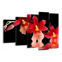 Glas schilderij Orchidee | Rood, Zwart, Wit | 150x100cm 5Luik